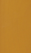 S 19 Sonderfarbe - Beige