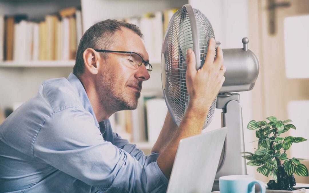 Wärmeschutz im Sommer durch moderne Fenster